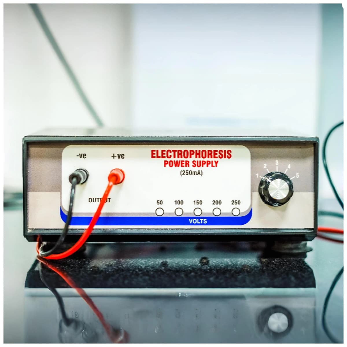 DNA Gel Electrophoresis Setup