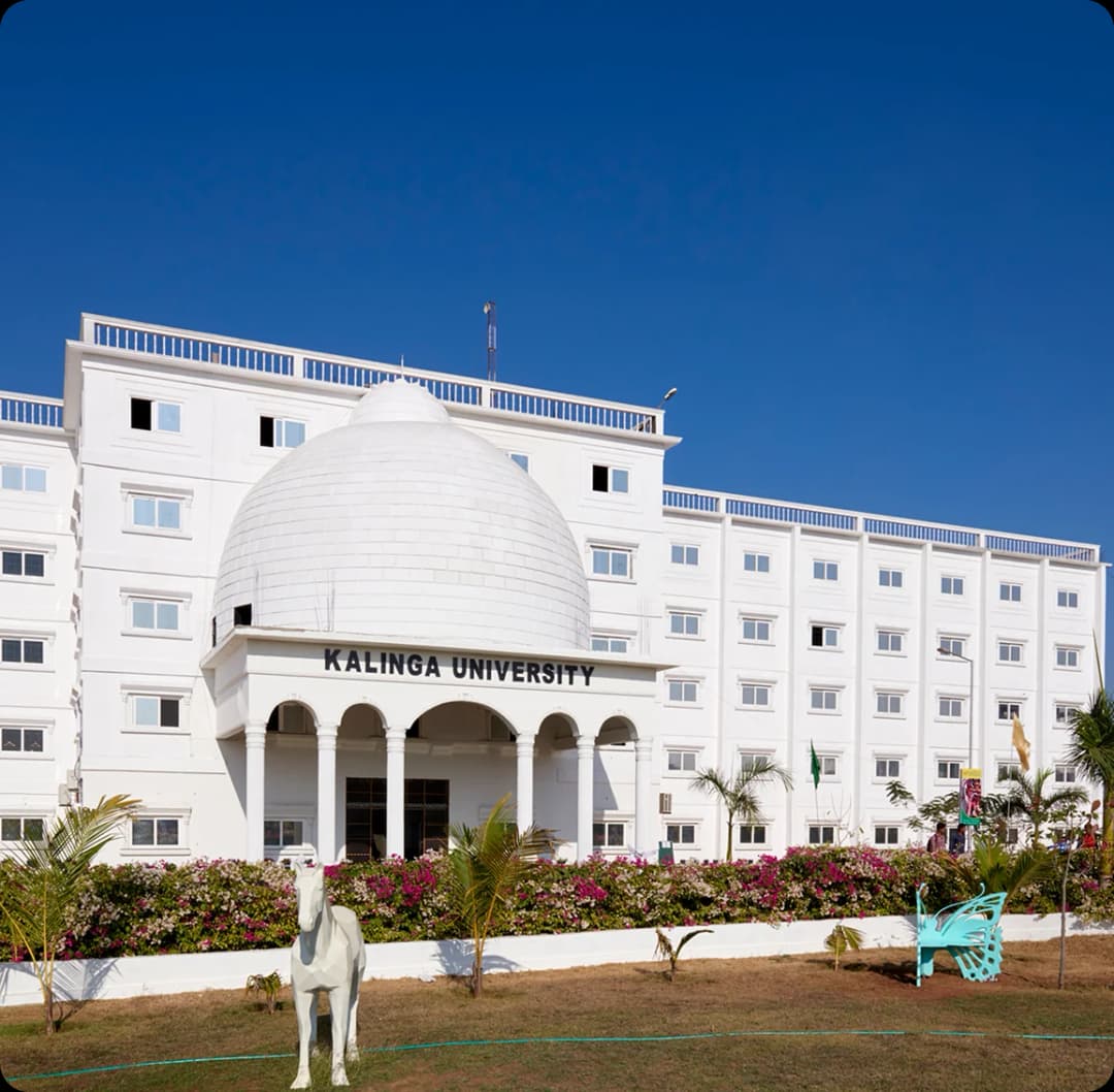 Contact Our Placement Cell