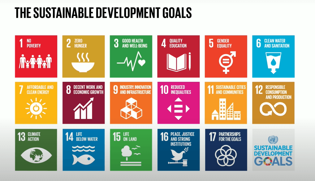 SDG Goals