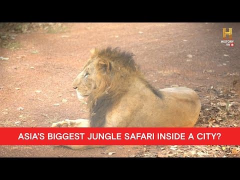 Smart City New Raipur – Vision & Development